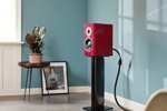 40 лет качественного звука. Dynaudio представила юбилейную серию Special Forty